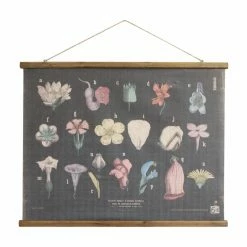 Outlet 😉 Upholstered 3R Studios Scientific Botanicals Linen And Wood Scroll Wall Poster 🎁
