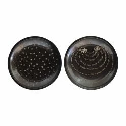 Wholesale ✨ Upholstered 3R Studios Small Black Decorative Terracotta Wall Plate - Set Of 2 🔔