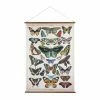 Discount 🔥 Upholstered 3R Studios Butterflies Wall Scroll ❤️