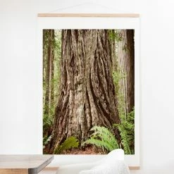 Budget 😍 Upholstered Deny Designs Redwood Trees Wall Scroll 😀