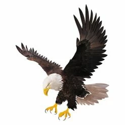 Best deal 🌟 Metal Next Innovations Eagle In Flight Wall Art ⌛