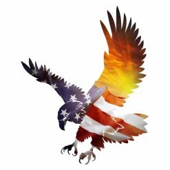 Top 10 👍 Metal Next Innovations Eagle USA Sunset Wall Art ✨