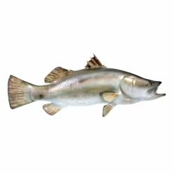 Coupon 👏 Wicker Design Toscano Barramundi Wall Mount Trophy Sculpture 💯