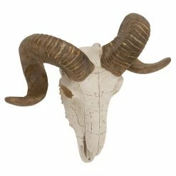 Outlet 🔥 Wicker DecMode Ram Skull And Horns Wall Sculpture 🤩